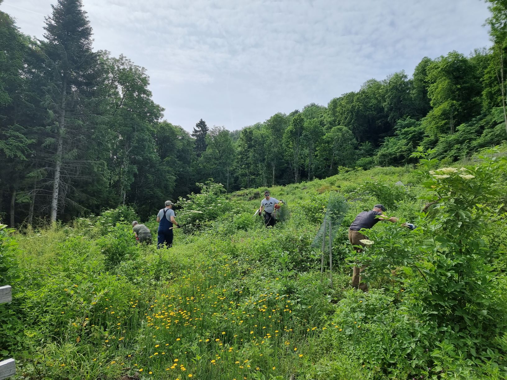 Waldpatenschaft Irchel