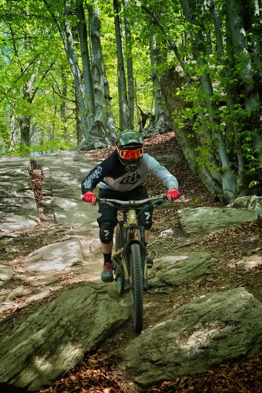 Felsiger Waldtrail